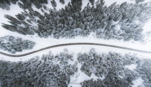 aerial view of road surrounded by trees by Kimon Maritz courtesy of Unsplash.