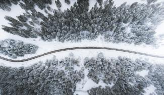aerial view of road surrounded by trees by Kimon Maritz courtesy of Unsplash.