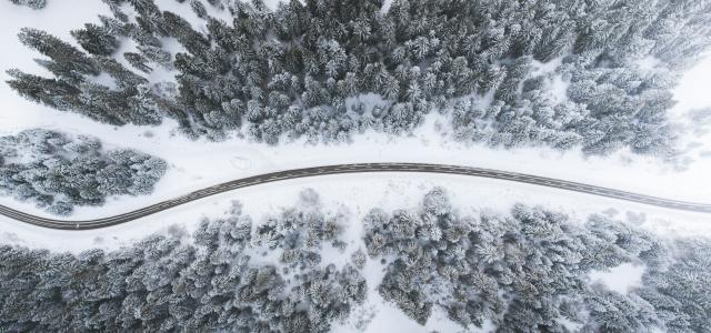 aerial view of road surrounded by trees by Kimon Maritz courtesy of Unsplash.
